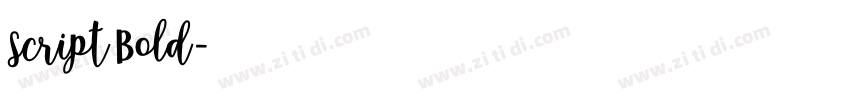 Script Bold字体转换